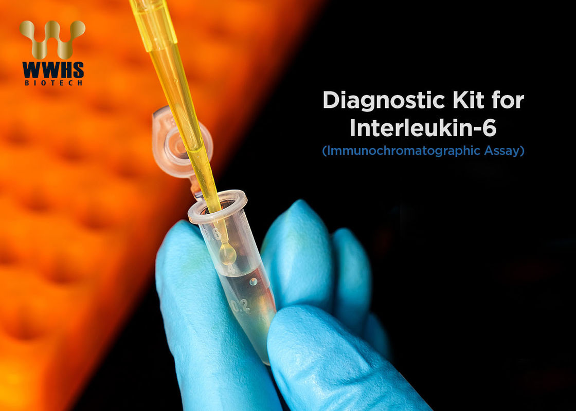 مجموعة الاختبار السريع IL-6 IFA IVD CE FDA Medical Supply خطوة واحدة PCR Antigen التشخيص السريع